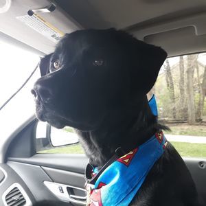 Meet your Posher, Beth